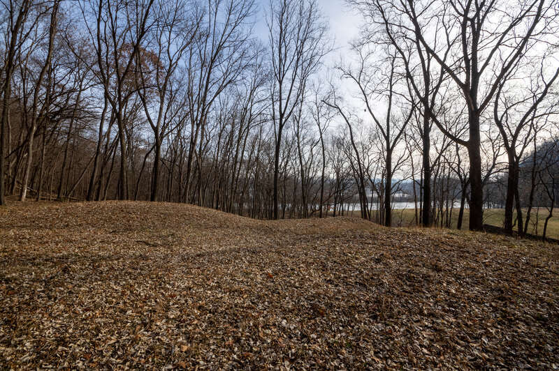 Effigy Mounds National Monument preserves more than 200 prehistoric mounds built by Native Americans. Numerous effigy mounds are shaped like animals, including bears and birds. These were built mostly in the first millennium, by peoples of the