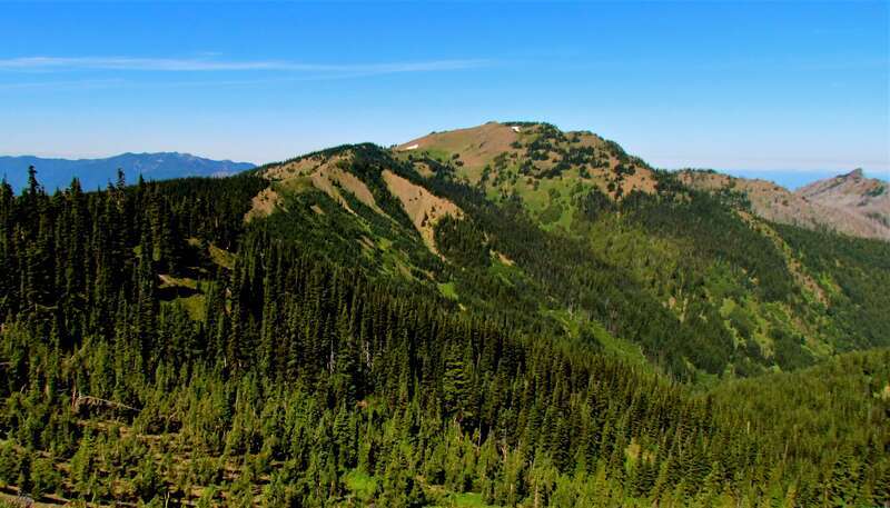 Hurricane Hill seen from Hurricane Ridge in Olympic National Park, Washington state,