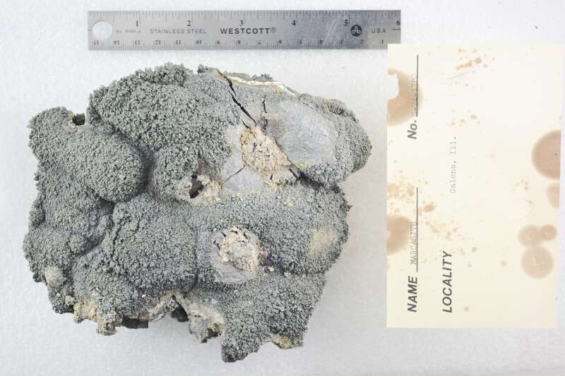 Galena
Illinois, USA

S-74-1782