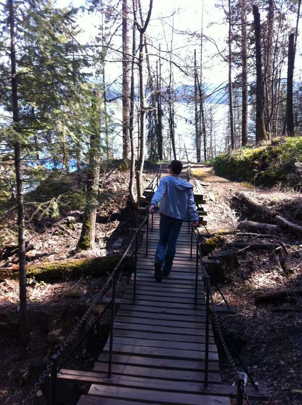 Walking across the swinging bridge at Tubbs Hill.