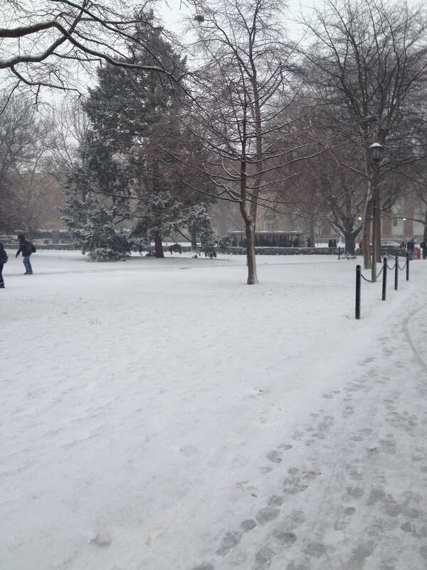 en:Urbana, IL after a snowstorm