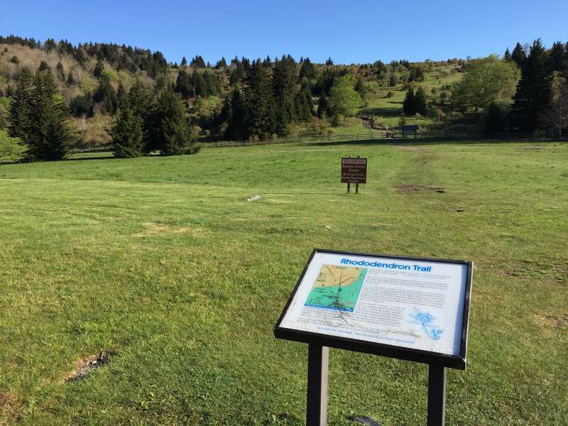 View north along the Rhododendron Trail near its descriptive sign within Grayson Highlands State Park in Grayson County, Virginia