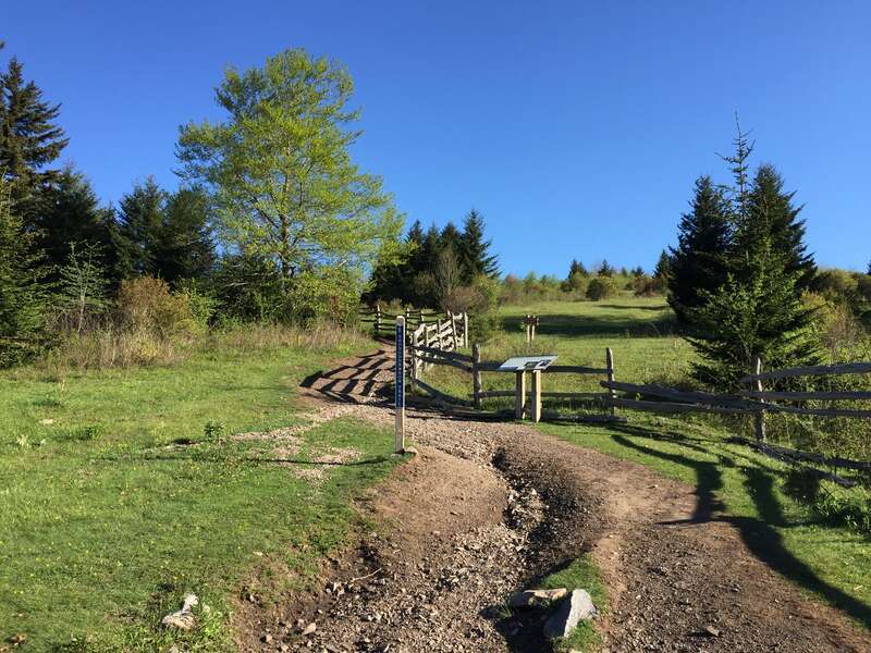View north along the Rhododendron Trail within Grayson Highlands State Park in Grayson County, Virginia