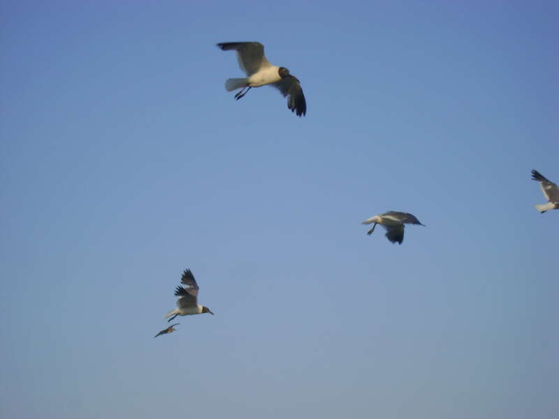 Asbury Park, NJ 07712, USA