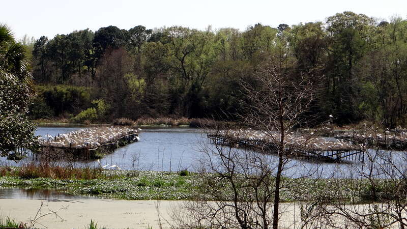 Avery Isaland et Tabasco; Louisiana