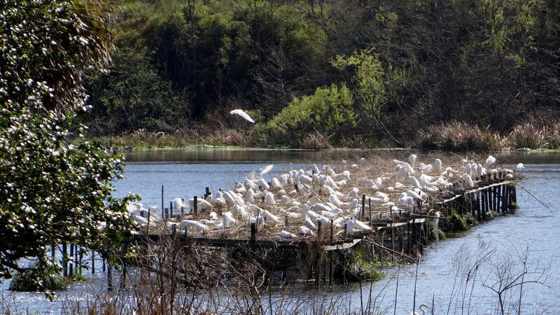 Avery Isaland et Tabasco; Louisiana