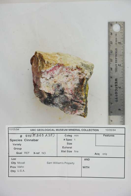 McCall
Idaho, USA

515