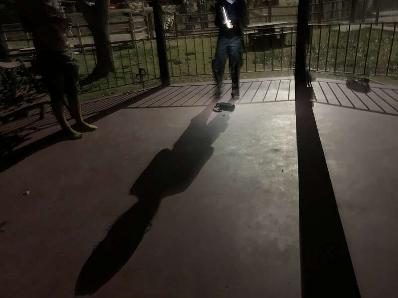 At the conclusion of the procession down a mountain road, the 181 and guest collaborators converged at a gazebo in the town park in Jemez, removed their shoes and all pressed play, somewhat in/out of sync, on Lionel Richie's All Night Long and danced