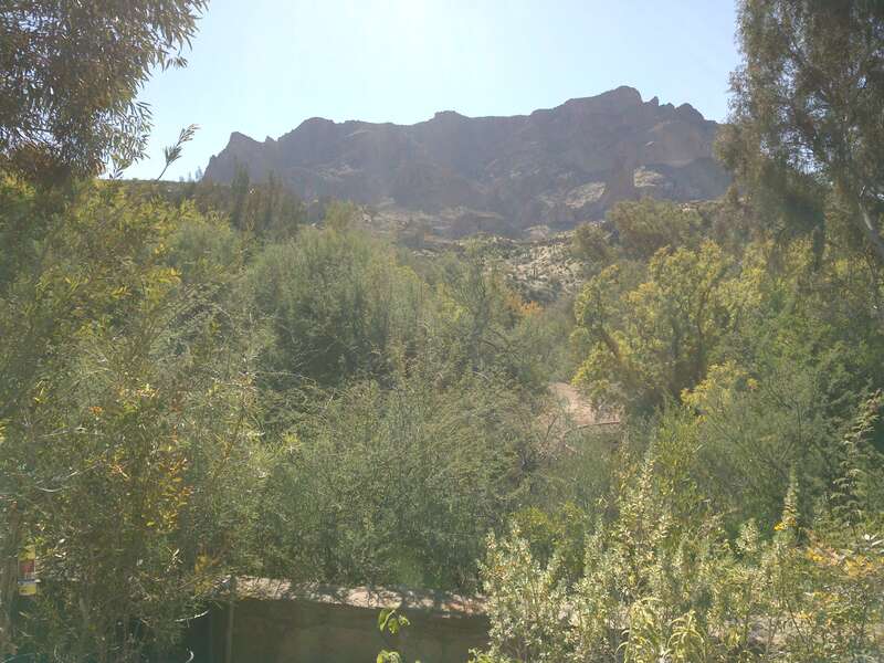 Boyce Thompson Arboretum, Superior, Arizona