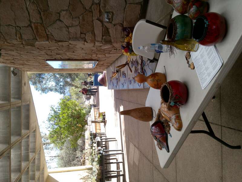 Boyce Thompson Arboretum, Superior, Arizona