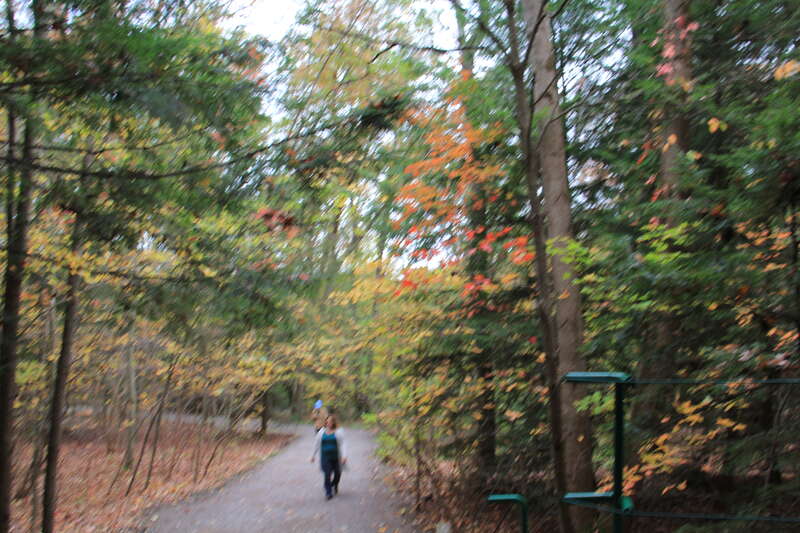 FallingWaters fall colors