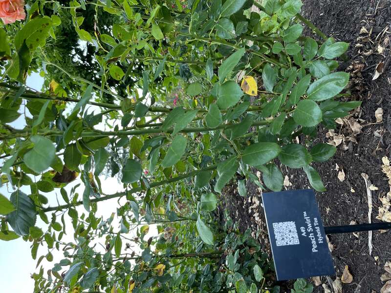 Portland, Oregon (August 7, 2022)