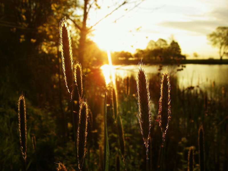 Lagoon in Veteran's Park, Milwaukee, Wisconsin
