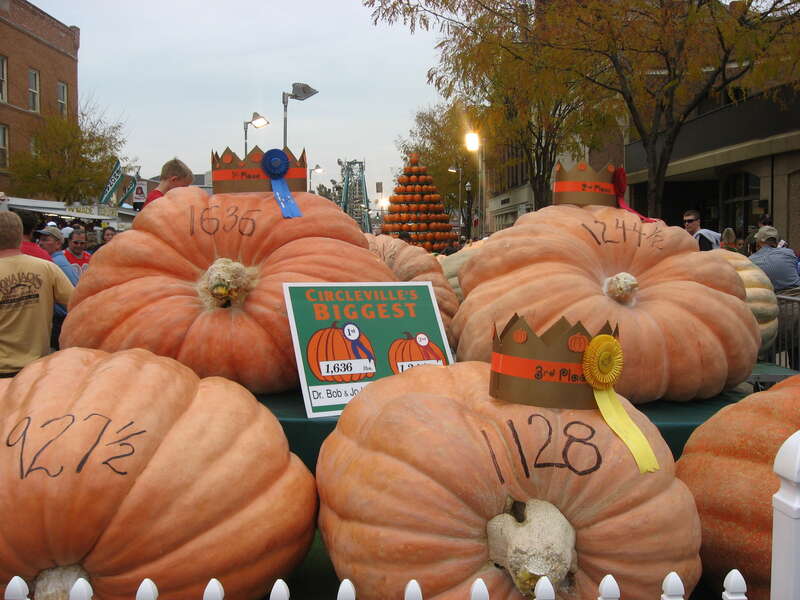 Champions of the heaviest-pumpkin competition at the 2009 Circleville Pumpkin Show, sitting on an exhibition stand at the intersection of Court and Main Streets in downtown Circleville, Ohio, United States.  Numbers written on pumpkins signify their