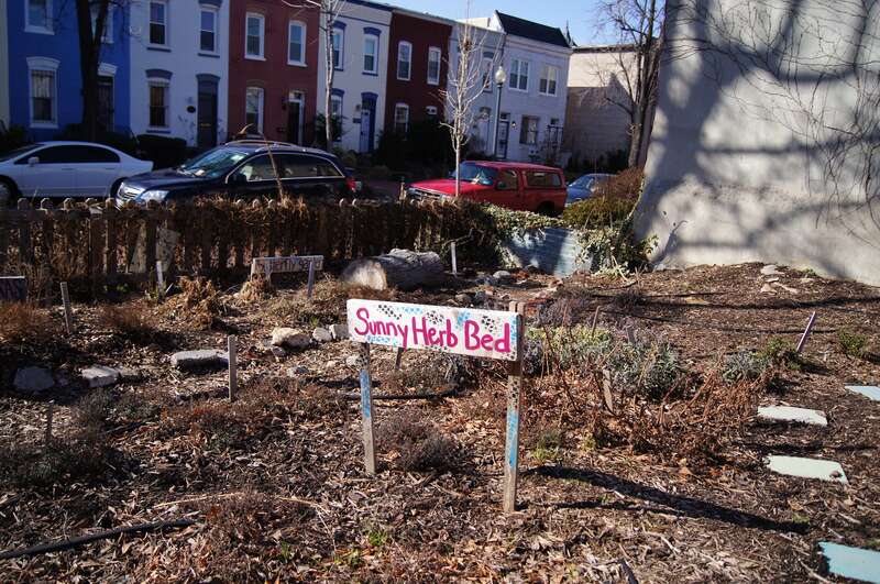 The Marion Intergenerational Garden, Washington DC