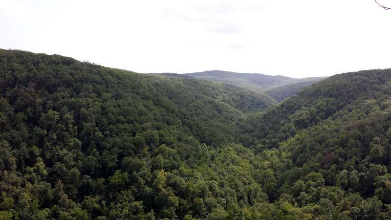 View from bluffline along the Hawksbill Crag Trail in the Upper Buffalo Wilderness in Newton County, AR