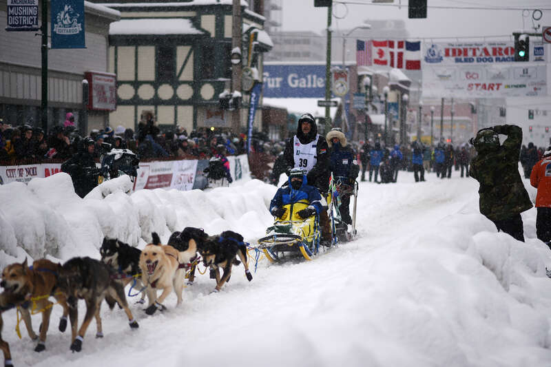 The 2022 Iditarod ceremonial start in Anchorage, Alaska.

This photo is available for free public use. Please provide credit in the following format: &quot;Photo used via Creative Commons license courtesy Paxson Woelber, The Alaska Landmine&quot;