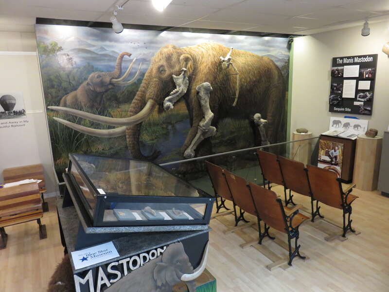 The Manis Mastodon exhibit at the Museum and Arts Center in Sequim, Washington.