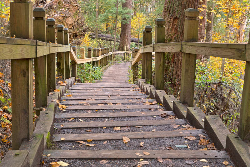Wide-angle photo of a stairway with autumn foliage from Swallow Falls State Park in Maryland, USA. HDR composite from multiple exposures.

This photo is released under a standard Creative Commons License - Attribution 3.0 Unported. It gives you a lot
