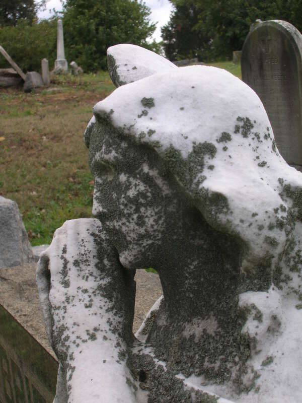 The angels have the blue box.