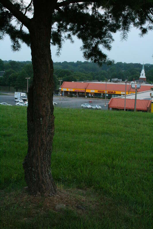 Food World in Durham, North Carolina.