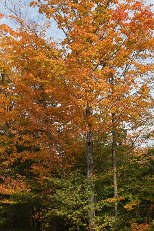 Arethusa Falls Rd, Hart's Location