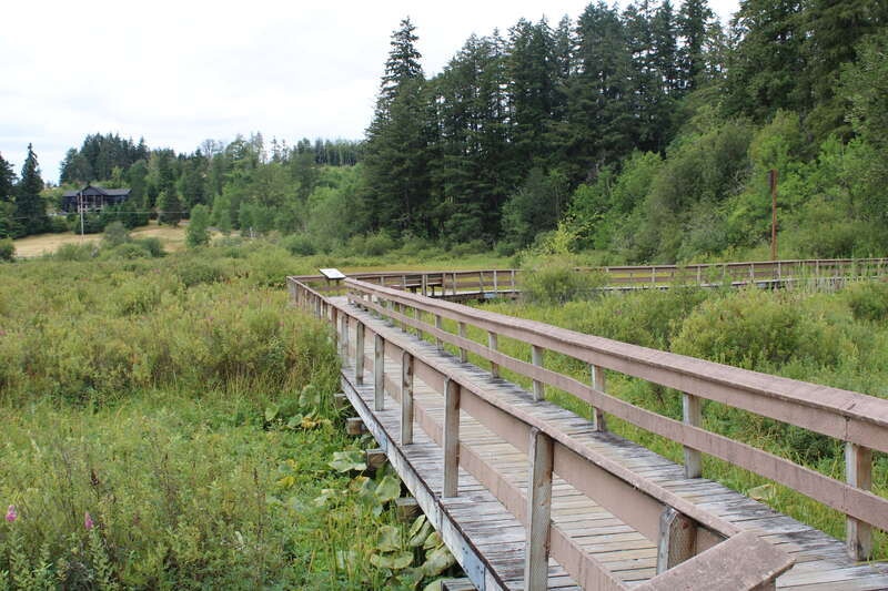 The Silver Lake Wetland Haven Trail boardwalk.