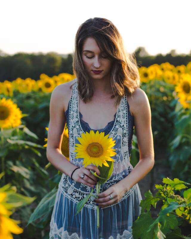 Grinter Sunflower Farms, Lawrence, United States