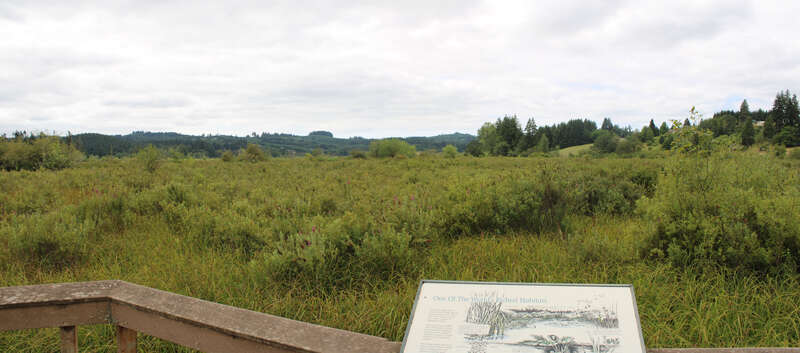 One of the World's Richest Habitats.