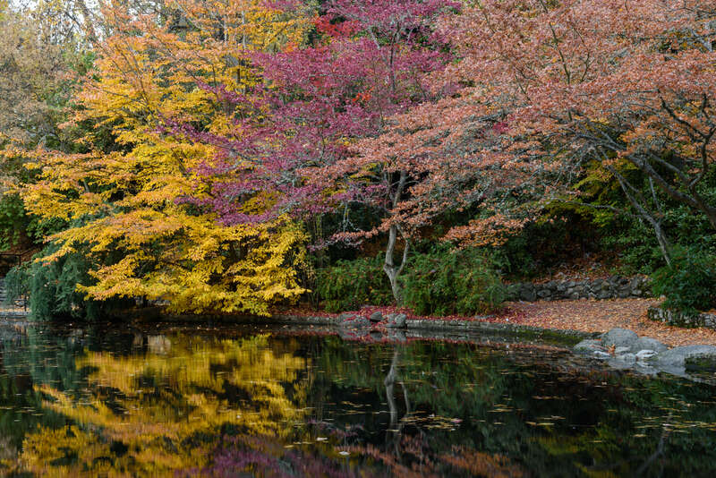 Meyer Memorial Lake, Lithia Park, Ashland, Oregon.