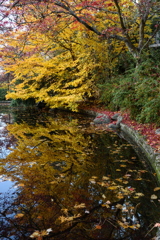 Meyer Memorial Lake, Lithia Park, Ashland, Oregon.