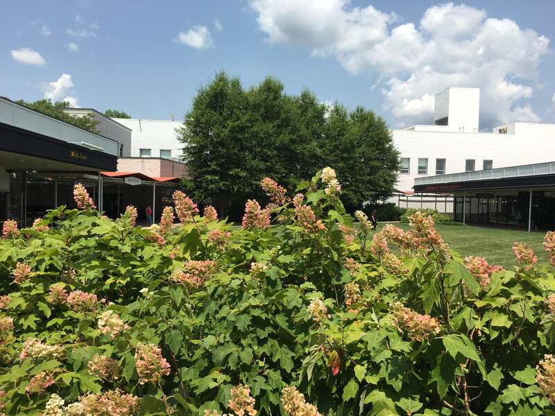 Northernmost portion of the central courtyard of the Princeton Shopping Center on North Harrison Street in Princeton, New Jersey. The shrubs along one of the courtyard walkways are in full bloom.  A few of the shops and services can be seen, along