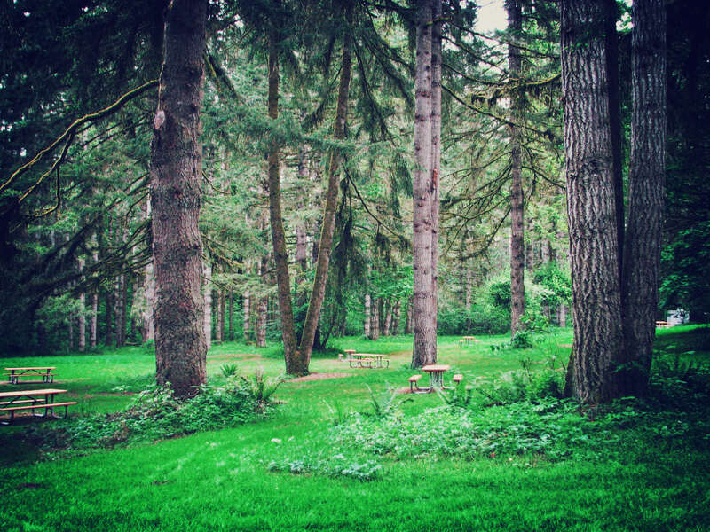 Seaquest State Park, WA