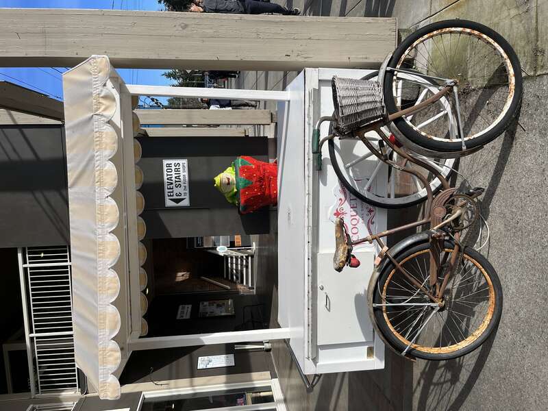 Bainbridge Island, February 2023