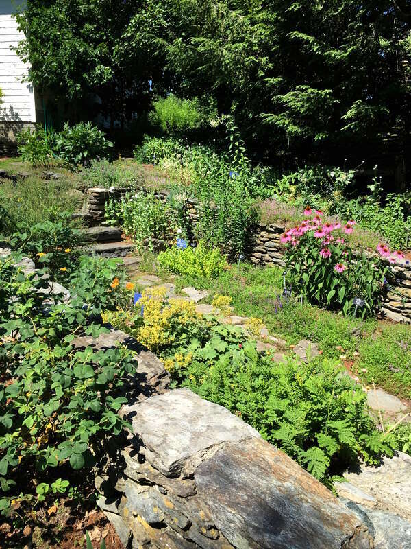 Stockbridge (Mass.). Jardín botánico.