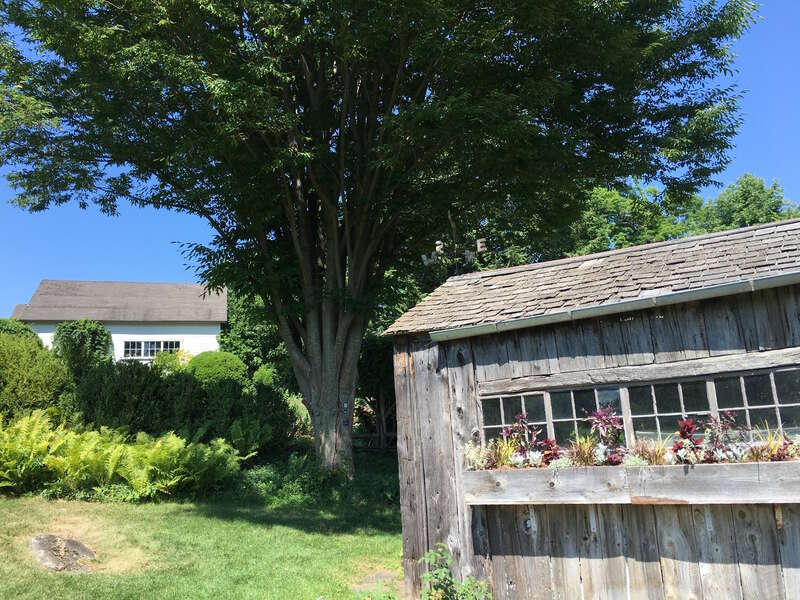 Stockbridge (Mass.). Jardín botánico.