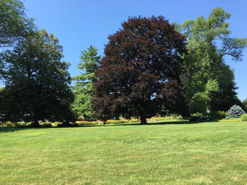 Stockbridge (Mass.). Jardín botánico.