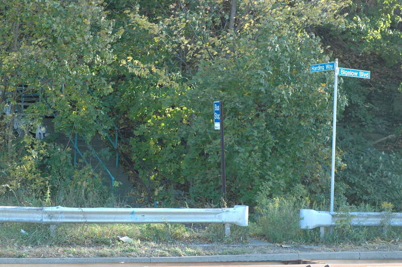 it's pretty fun, Harding Way in Polish Hill becomes a set of steps to come up to Bigelow Boulevard, which it then crosses and the steps continue up to the Hill District.

here is the beginning of the steps going up to the Hill
