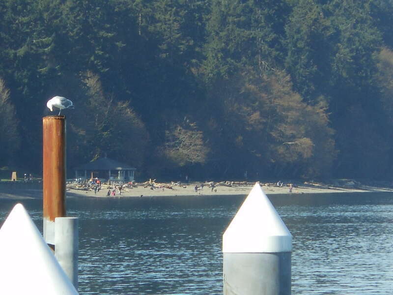 Owen Beach in the distance
