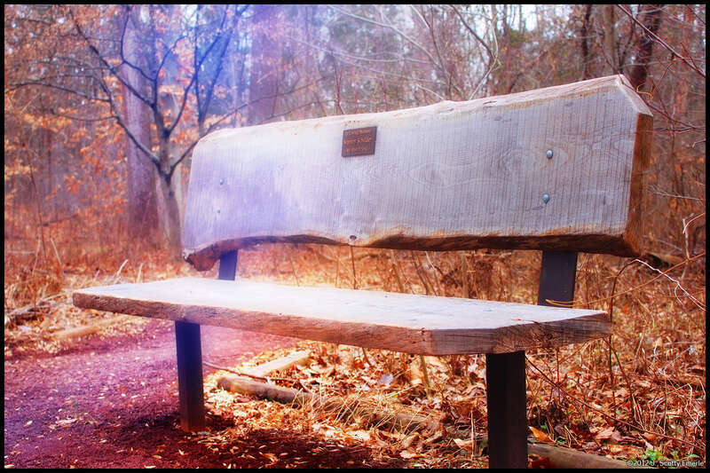 In loving memory
Standley Schilder
My best friend