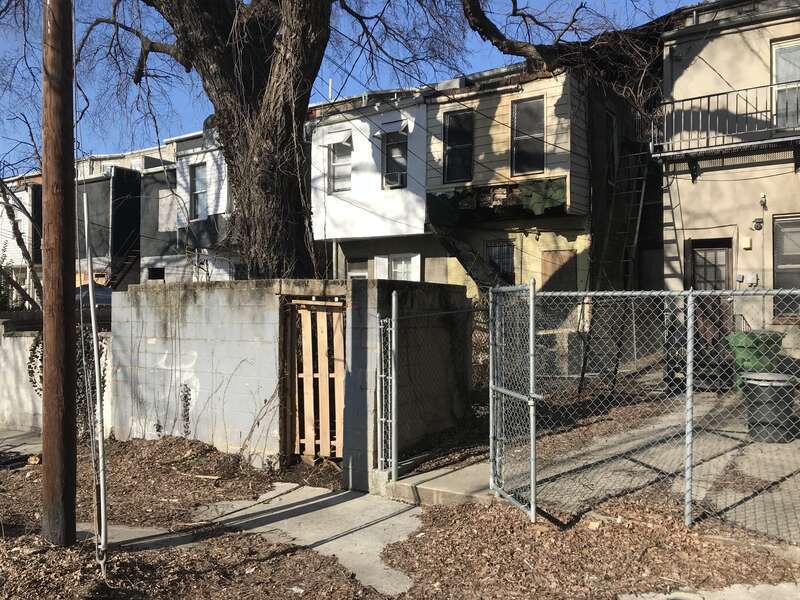 Photograph by Eli Pousson, 2019 March 5.