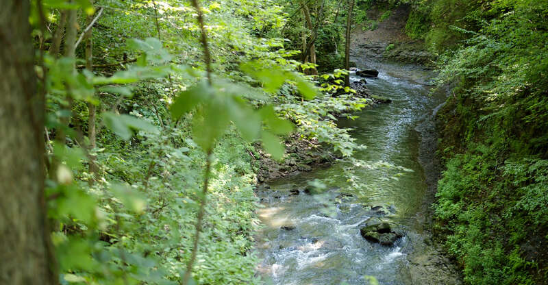 Clifton Gorge, Yellow Springs, Ohio 8-15-2020. Screenshot taken from my video youtu.be/B6ey1yMHwk8