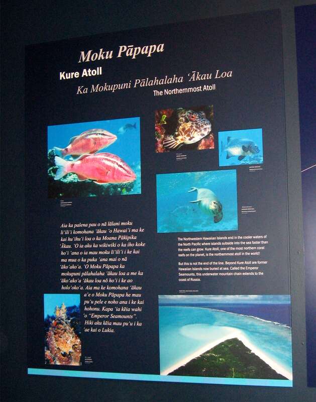 The Mokupapapa Discovery Center has exhibits on the Northwestern Hawaii Islands, which are now part of the Papahānaumokuākea Marine National Monument. It is in the historic Hata Building in Hilo, Hawaii.