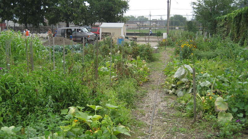 Morganic Community Garden
in Cleveland

E. 65th St. and Kenyon Ave.