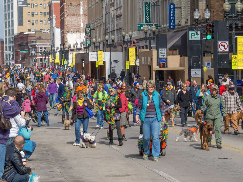The 7th Annual Mardi Growl, a pet parade sponsored by the Young-Williams Animal Center, on Gay Street in Knoxville, Tennessee, USA.