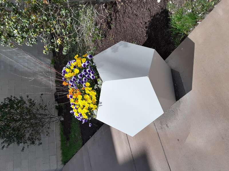 Springfield Town Center