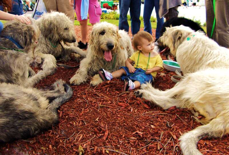 Aie! Les gars on le lèche ou on le dévore, hi! hi! We eat him here or we take him to go?   Woff. Woff!