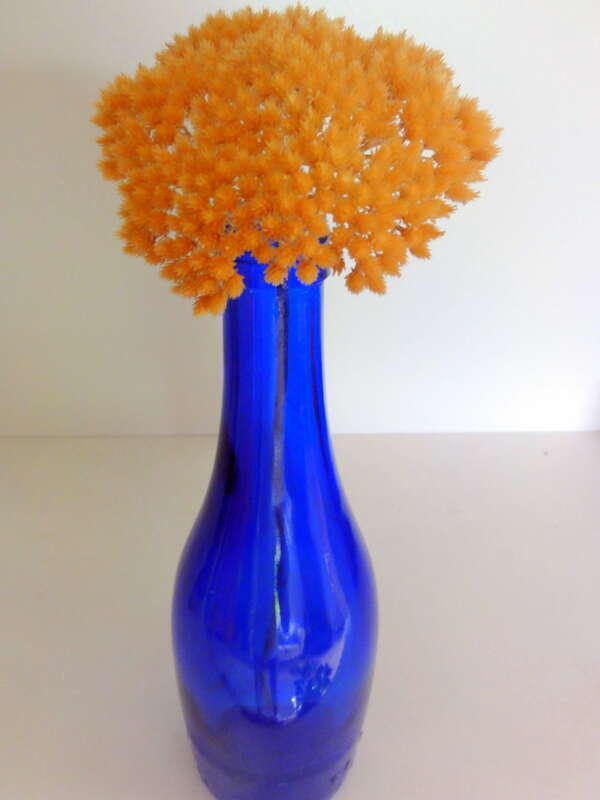 BLUE BOTTLE DRIED BLOOM