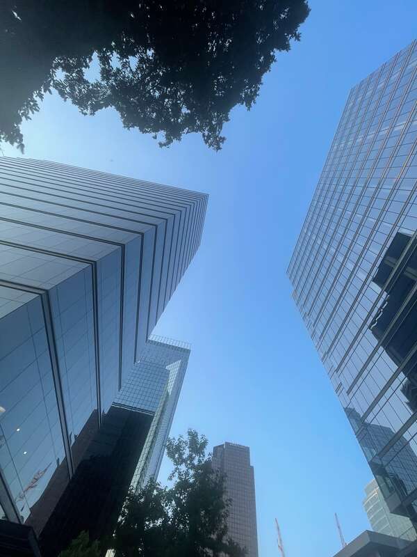 Bellevue, Washington, skyline from a worm's-eye view on 108th Avenue NE