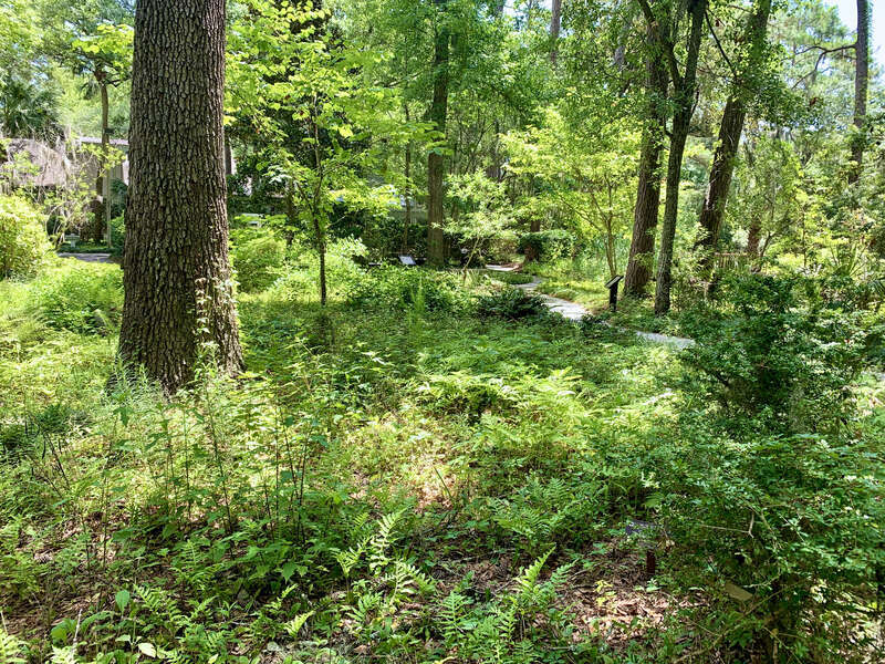 The Xeriscape Garden, located at the Town of Hilton Head Island Government Offices off Wexford Drive, provides a unique open space for residents and visitors. It is a great demonstration of gardening with little supplemental watering.